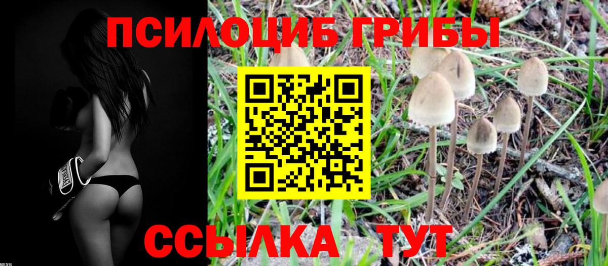 Псилоцибиновые грибы Magic Shrooms  Галлюциногенные грибы MAGIC MUSHROOMS  как найти   Барнаул  Вход с VPN 