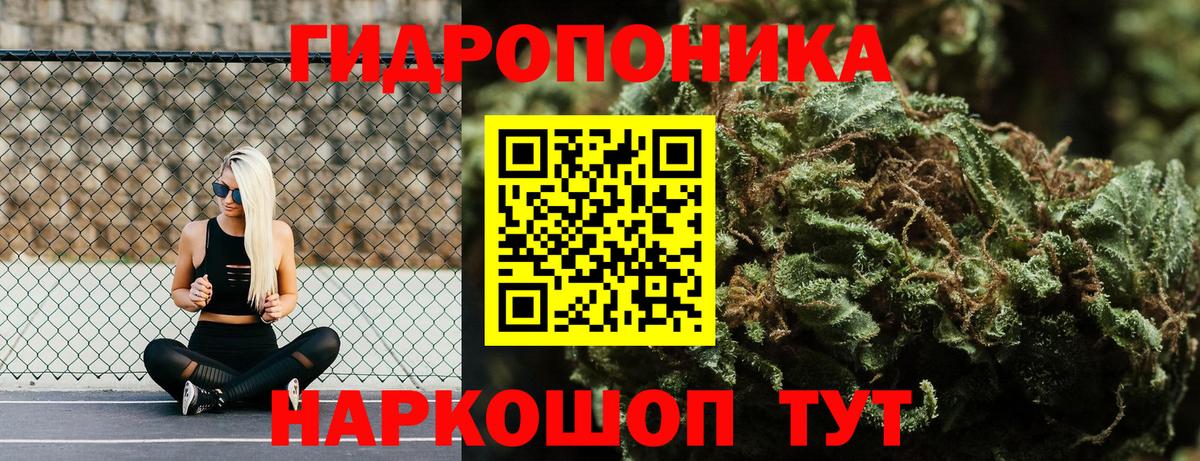 Шишки марихуана план Барнаул
